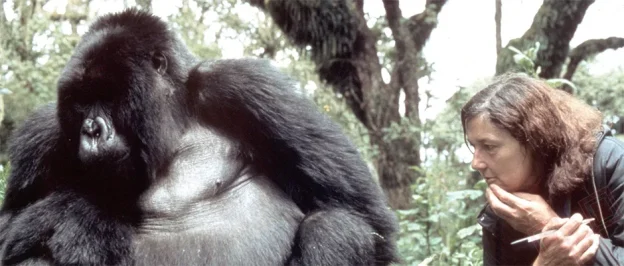 Dian Fossey