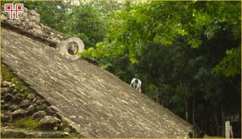 Koš za poktu